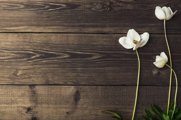 Wooden background of brown color with beautiful white spring flo — Stock Photo, Image