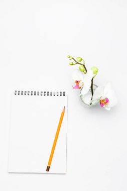 Açık defter kalem ve çiçek orkide, ofis dekorasyon konsepti ile.