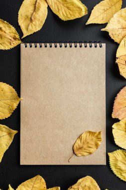 Kraft defter defter işçiliği siyah arka plan üzerine