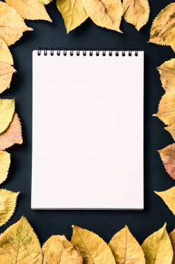 Spiral defter sonbahar siyah zemin üzerine bırakır, sarmal o