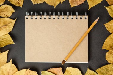 Kraft defter yaprağı, MKK siyah zemin üzerine kalem ile