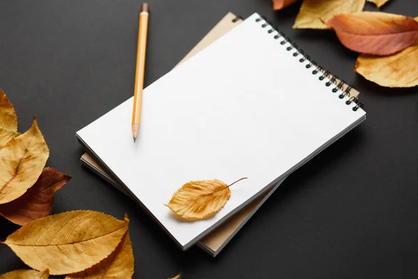 Carnet scolaire sur fond noir avec feuilles d'automne — Photo