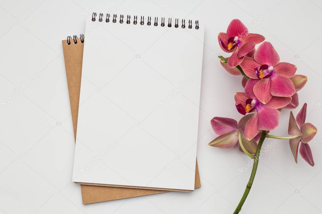 Notebooks with beautiful flower congratulations concept