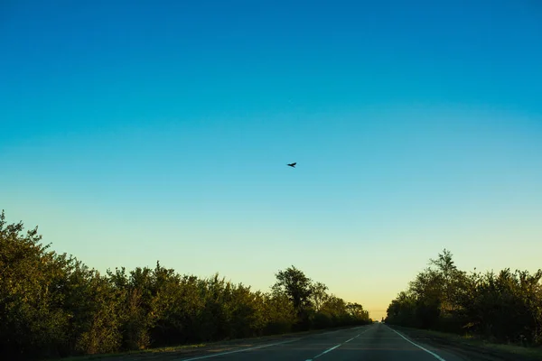 Viagem, estrada de manhã cedo — Fotografia de Stock