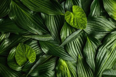 Yeşil yapılmış yaratıcı arka plan bırakır