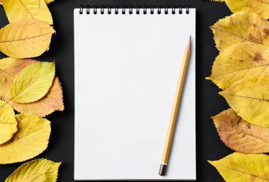 Öğrenci yarıyıl not defteri siyah bir arka plan ile sonbahar yaprakları