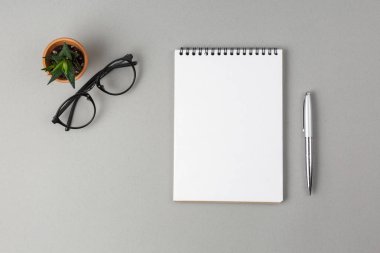 gri bir arka plan üzerinde defter, kalem, gözlük ve yeşil çiçek
