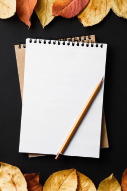 Öğrenci yarıyıl not defteri siyah bir arka plan ile sonbahar yaprakları