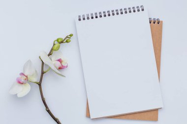 Güzel çiçek Tebrikler kavramı ile dizüstü bilgisayar