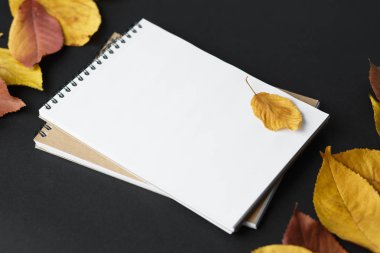 Spiral defter sonbahar siyah zemin üzerine bırakır, sarmal o