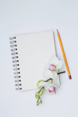 Beyaz bir masanın üzerinde yatan defter