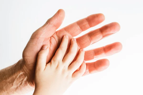 Adult hands holding kid hands,