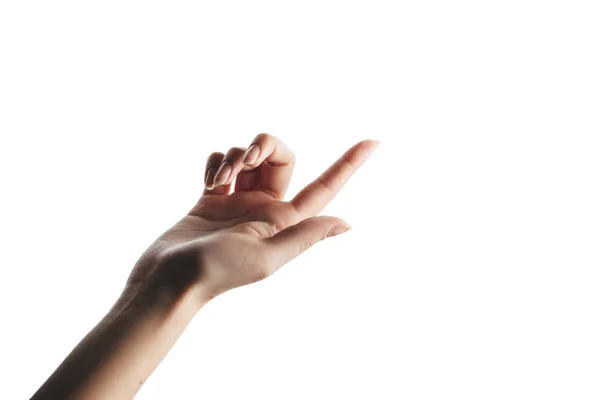 Жіноча рука з красивими тонкими пальцями, ізольована на білому — стокове фото