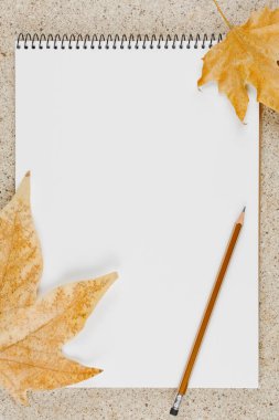 Masa üstü görünümünde kalemle birlikte defteri aç