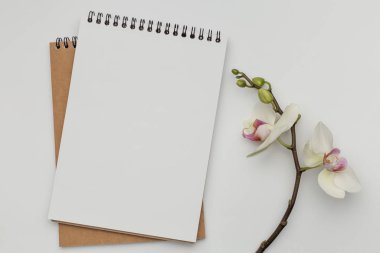 Hediye ve kalem ile beyaz masa üstünde defter