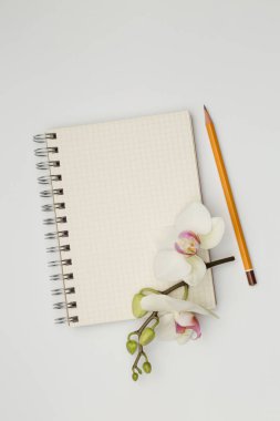 Hediye ve kalem ile beyaz masa üstünde defter