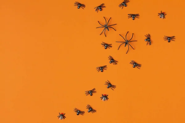 Spinnen op een oranje tafel — Stockfoto