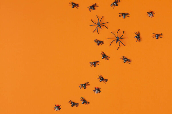 spiders on an orange table