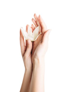 Avuçlarında çiçek olan kadınların elleri