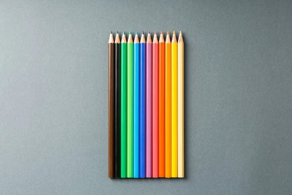 Кольорові олівці в ряд на сірому фоні — стокове фото