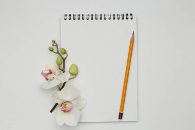 Hediye ve kalem ile beyaz masa üstünde defter