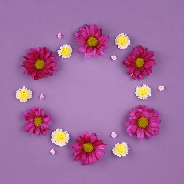 Decorative chamomile flowers in a circle. — Stock Photo, Image