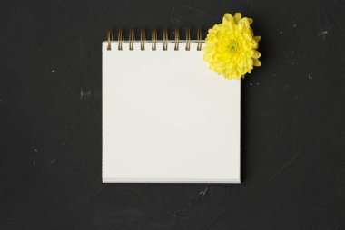 Sararmış çiçekle üst görünümü aç. 