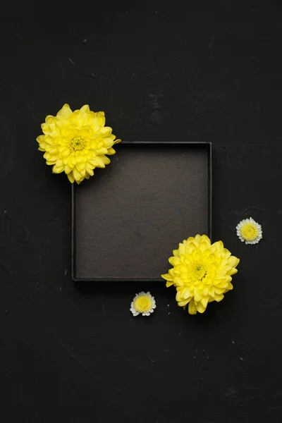 Papatya çiçekli siyah boş kutu üst görünümü. 