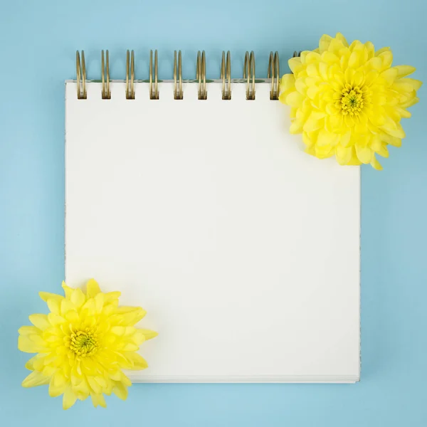 Top view open notebook, with chrysanthemum flower. — Stock Photo, Image