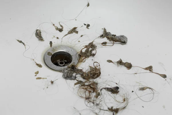 Kanalizasyon deliğine yakın toprak ve saç temizleme