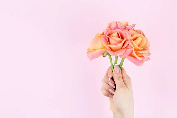 Bouquet of pink roses female hand light background — Stock Photo, Image