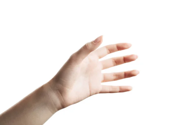 Schöne weibliche Hand, die mit einer offenen Handfläche nimmt. — Stockfoto