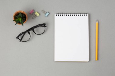 Kalemle birlikte yaylı iki defter.