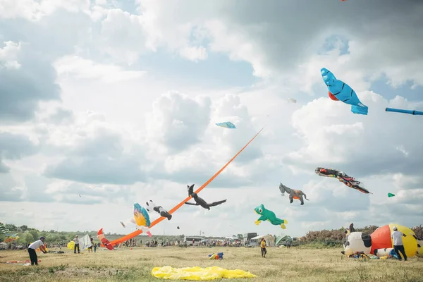 Различные воздушные змеи, летящие в голубом небе — стоковое фото