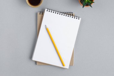 Kalemle birlikte yaylı iki defter.