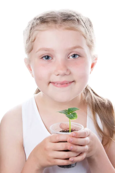 Klein meisje met een glas met een kleine plant — Stockfoto