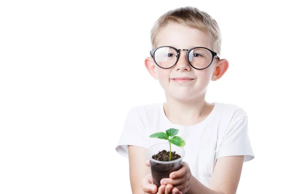 Niño pequeño sosteniendo un vaso con una pequeña planta — Foto de Stock