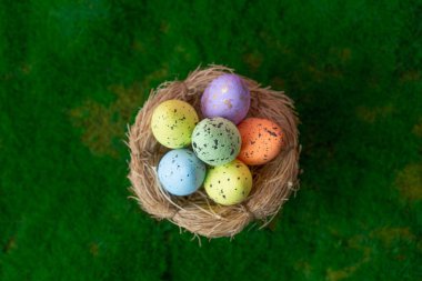 Kuş yuvasında taze yeşil yosun üzerinde paskalya yumurtası