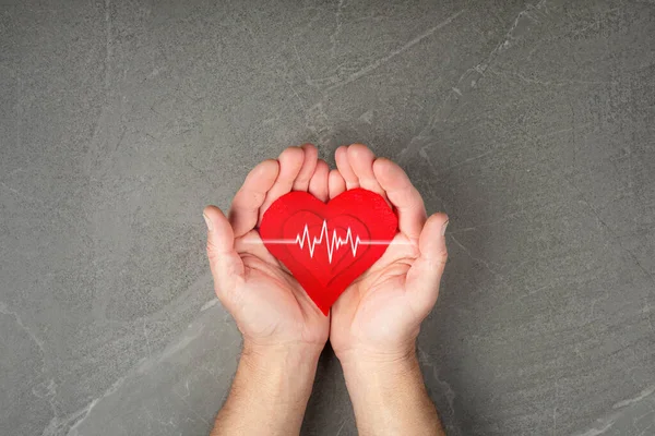 red heart in hands on gray background