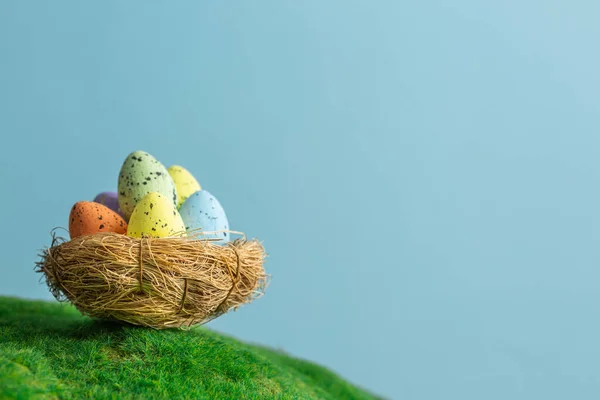 Colorful eggs in bird nest on fresh green grass. — Stock Photo, Image