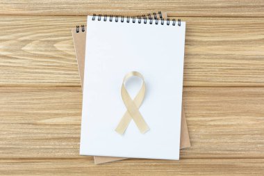 Kanser kurdeleli spiral not defterini aç