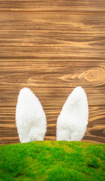 Yeşil tepeli, beyaz tavşan kulaklı. — Stok fotoğraf