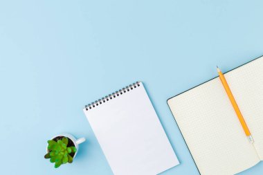 Defteri kalemle aç, bitki. Mavi arkaplan 