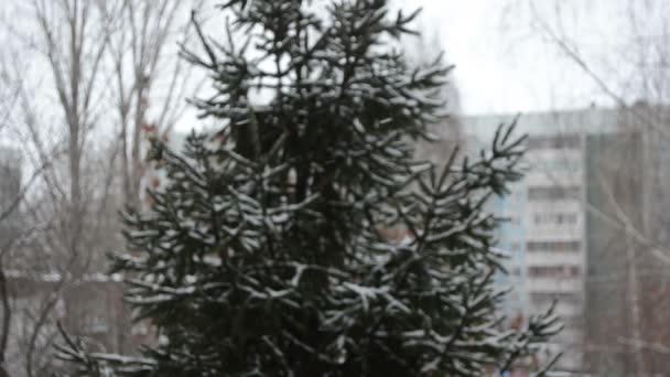 Вид Вікна Сніг Вікном — стокове відео