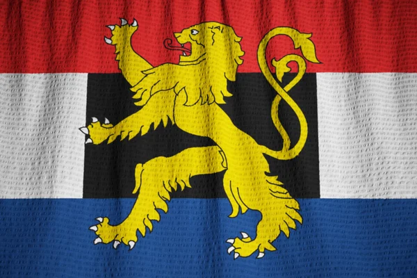 Closeup of Ruffled Benelux Flag, Benelux Flag Blowing in Wind — Stock Photo, Image