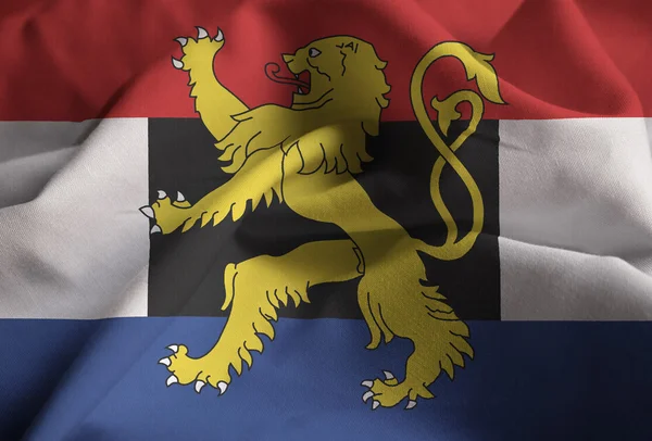 Primer plano de la bandera del Benelux con volantes, la bandera del Benelux soplando en el viento — Foto de Stock