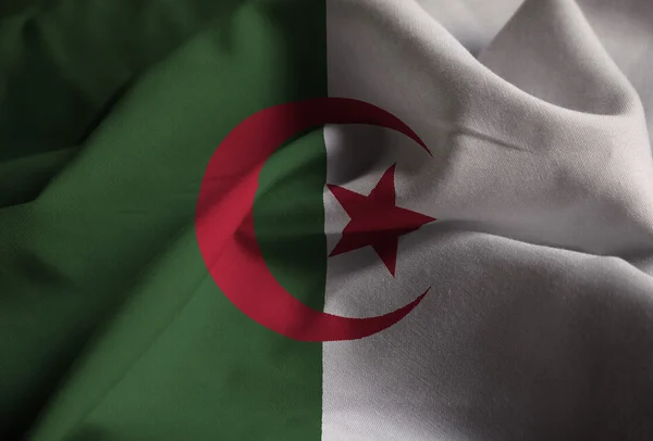 Closeup rüzgarda karıştırdı Cezayir bayrağı, Cezayir bayrağı — Stok fotoğraf