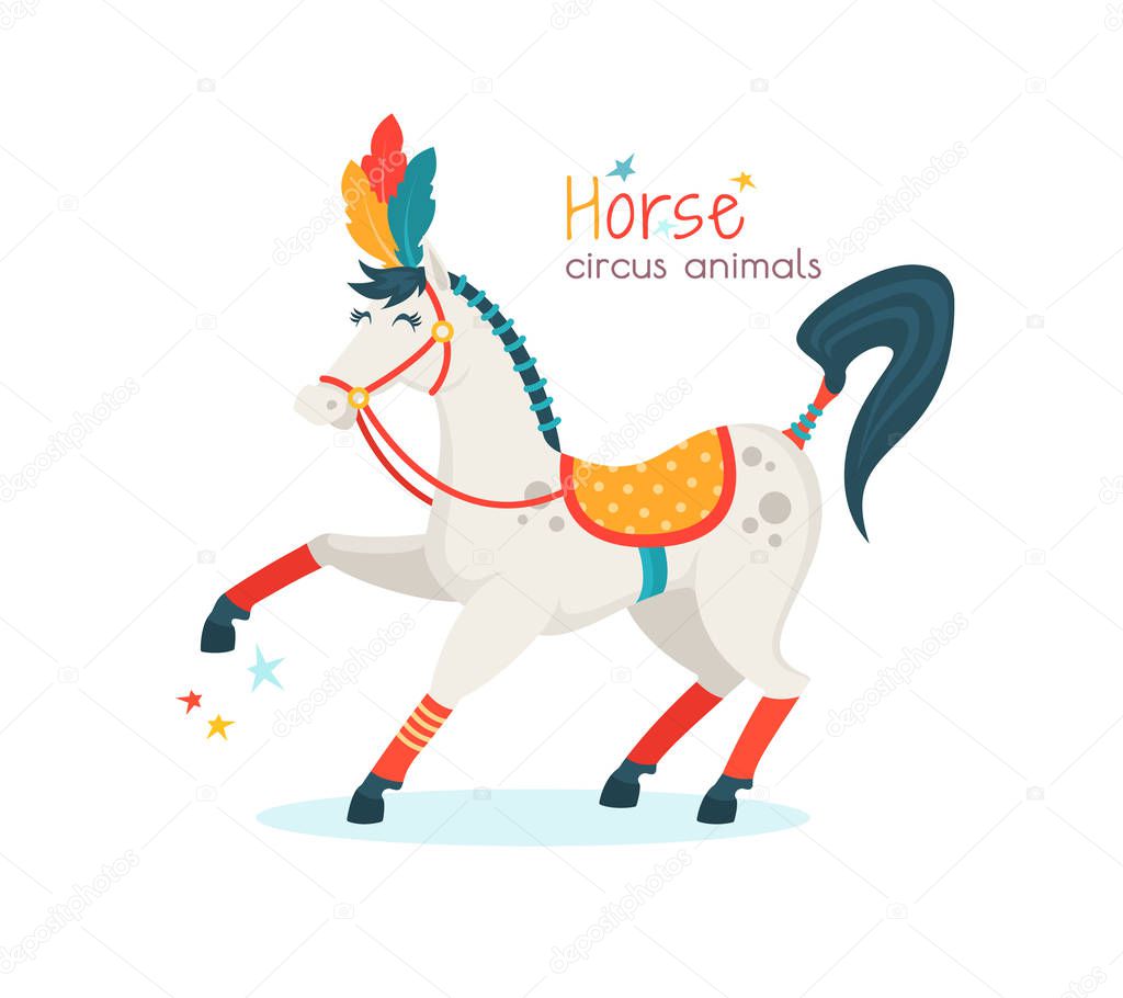 Circus horse isolated on white background