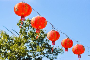 Kırmızı Çin ile ağaç arka plan aydınlatılmış fener.