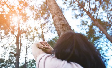 Mutluluk, sabah erken konsepti ile rahatlama. 